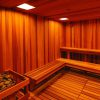 SAL electric sauna heater